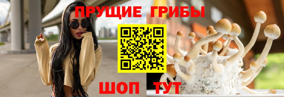 Псилоцибиновые грибы мухоморы  Вход с VPN  Коммунар 